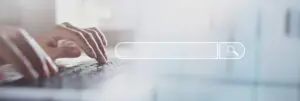 search bar