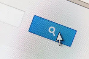 google search bar