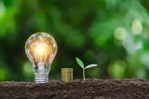 sustainable ideas
