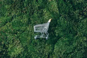 consumer behaviour is green