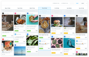 brandwatch screenshot
