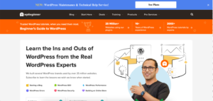 wordpress beginner