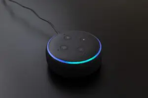 voice search using amazon alexa