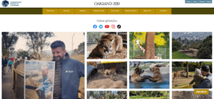social media embed example