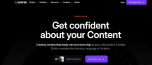 7 SEO content tactics we're taking into 2025 3 image showing content editor tool surfer