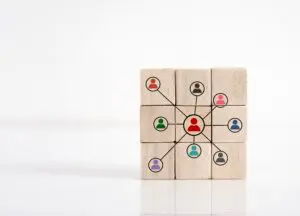 network of connections