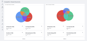 image showing spyfu's paid and organic keyword analysis