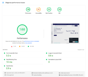 page speed insights 