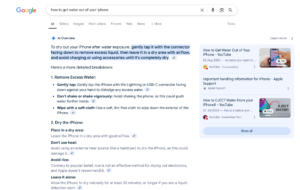 google ai overviews