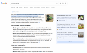 ai overview on the serp
