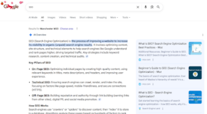 seo search result on google