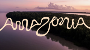 amazon logo in shape of river
