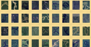 variations of amazon river to make different letters