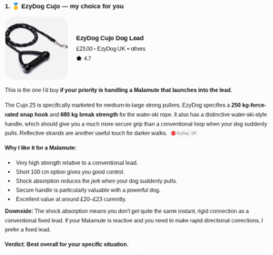 how chat gpt decides product recommendation 