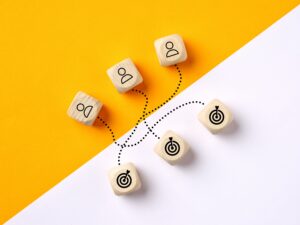 audience segmentation 