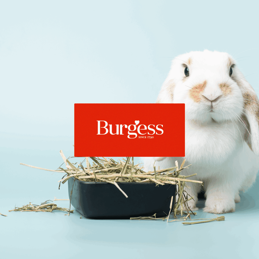 Image of Burgess Pet Care logo on image of a bunny, to represent Embryo's digital marketing case study
