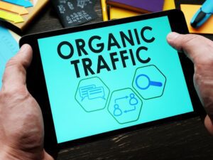 organic traffic is traffic that arrives naturally to your site