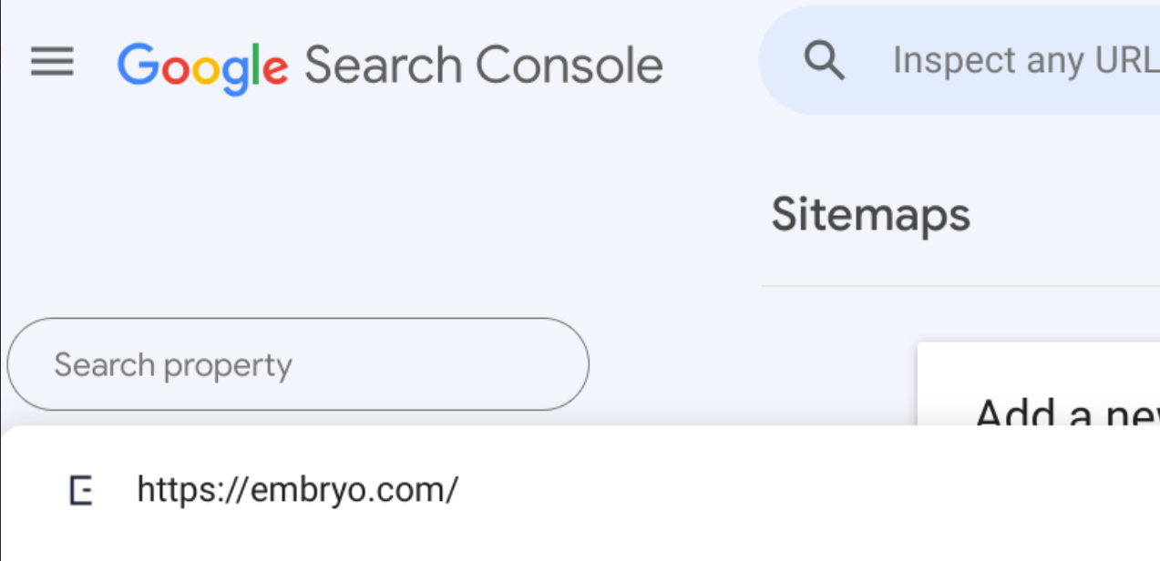 search property in google search console