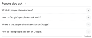the 'people also ask' section on google's serp