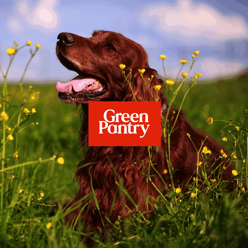 Image of Green pantry logo on top of image of a dog to represent Embryo's Green Pantry case study