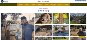 social media embed example