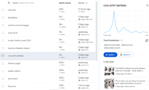 Google trends for Cow print sambas