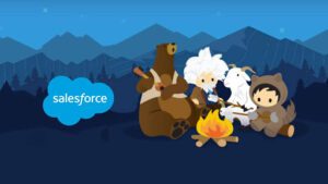 the salesforce logo