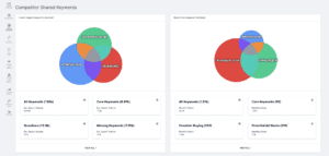 image showing spyfu's paid and organic keyword analysis