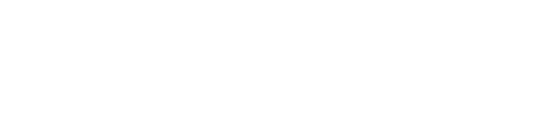 Embryo's SEO client Dee Set's logo in white