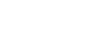 SEO Auditing tool SEO Site Check Up logo in white