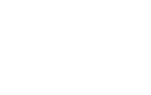 uk search awards winner 2025