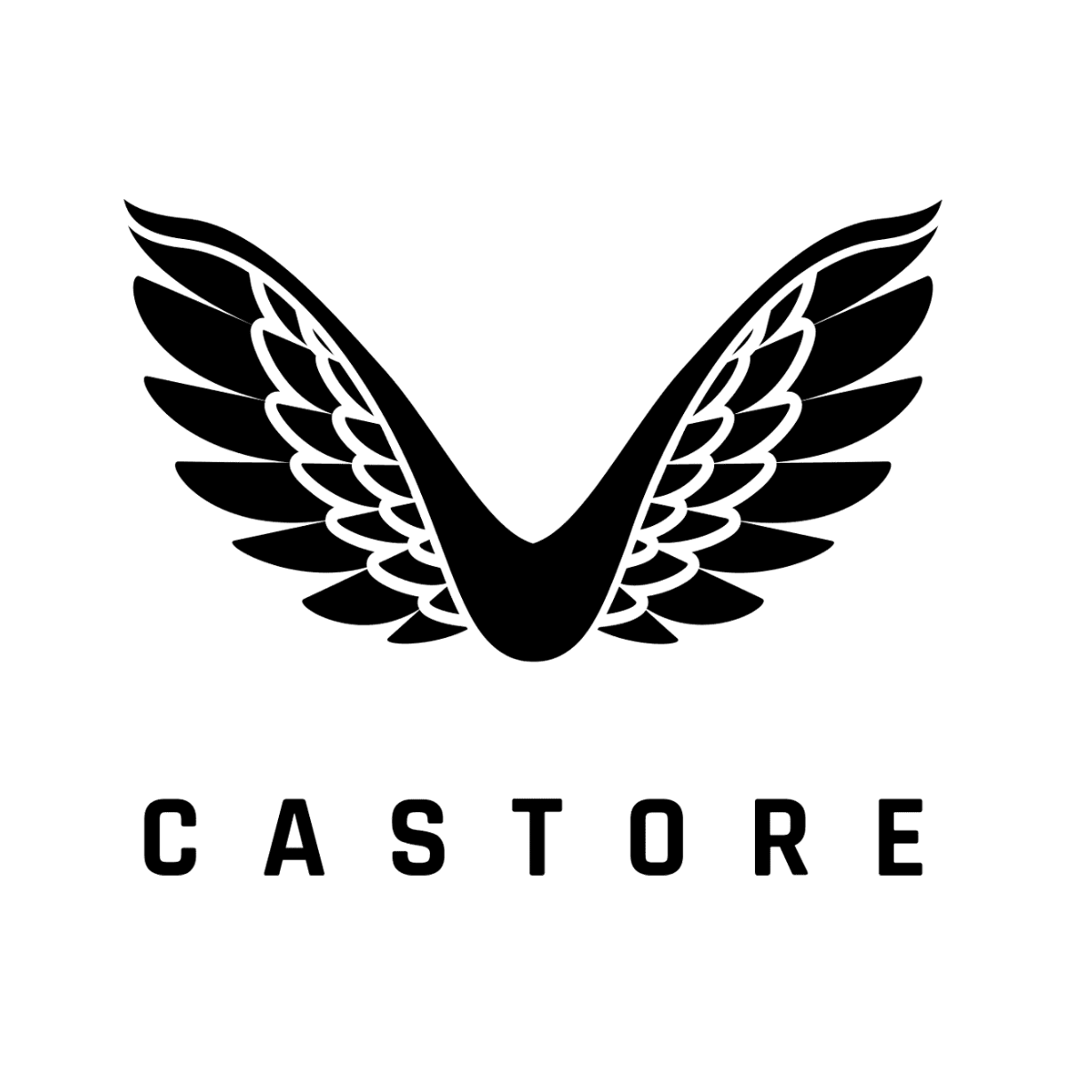 castore logo