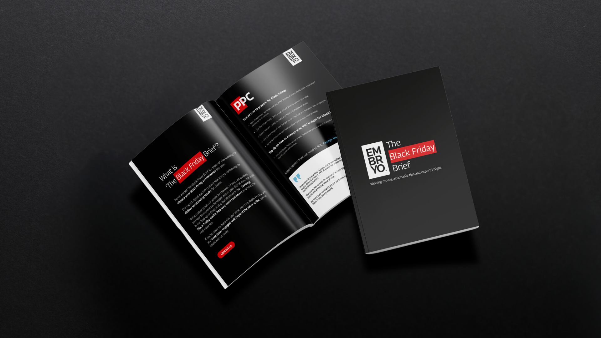 Black Friday Brief doc