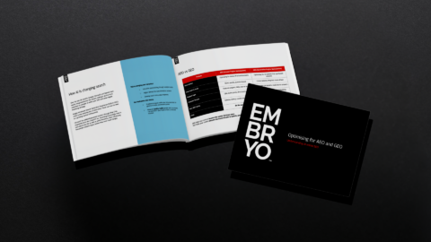 AEO GEO doc