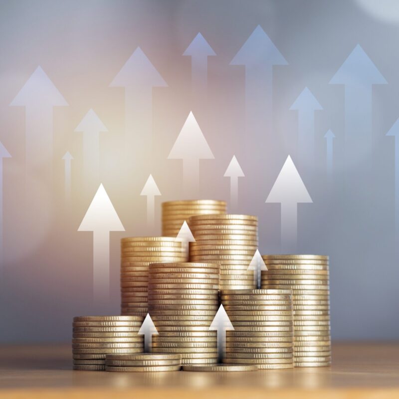 Growth Strategy 3 growth investment