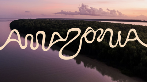 amazon river in the shape of different letters