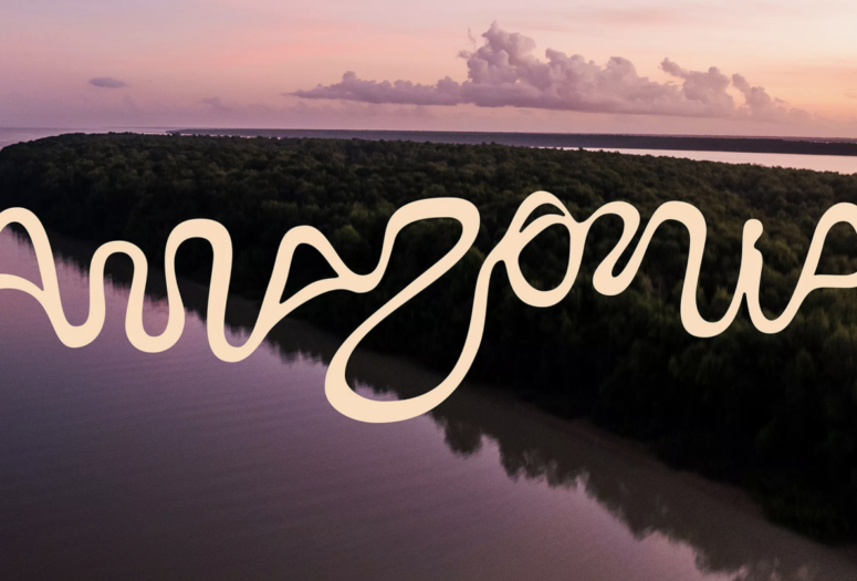 amazon river in the shape of different letters