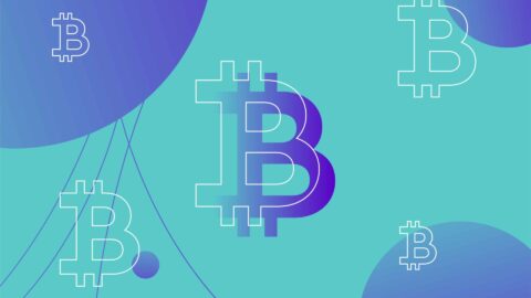 Bitcoin icon