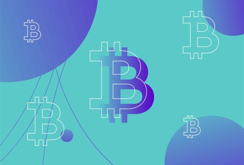 bitcoin icon