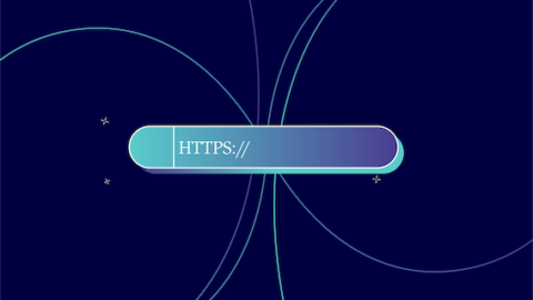 URL Structure