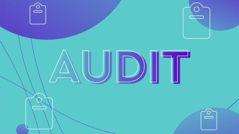 Audit in SEO