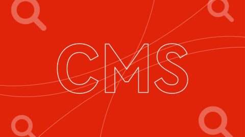 Discover how to optimise your site for SEO if you have a headless CMS here