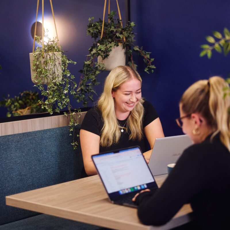 Organic social 12 embryo team members working in the embryo office