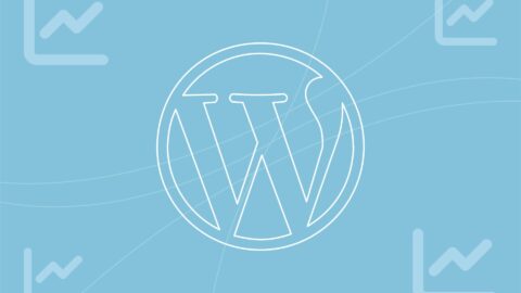 Stats on Wordpress