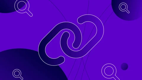link icon with magnifying glass in purple and navy