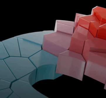 Clusterdome identity